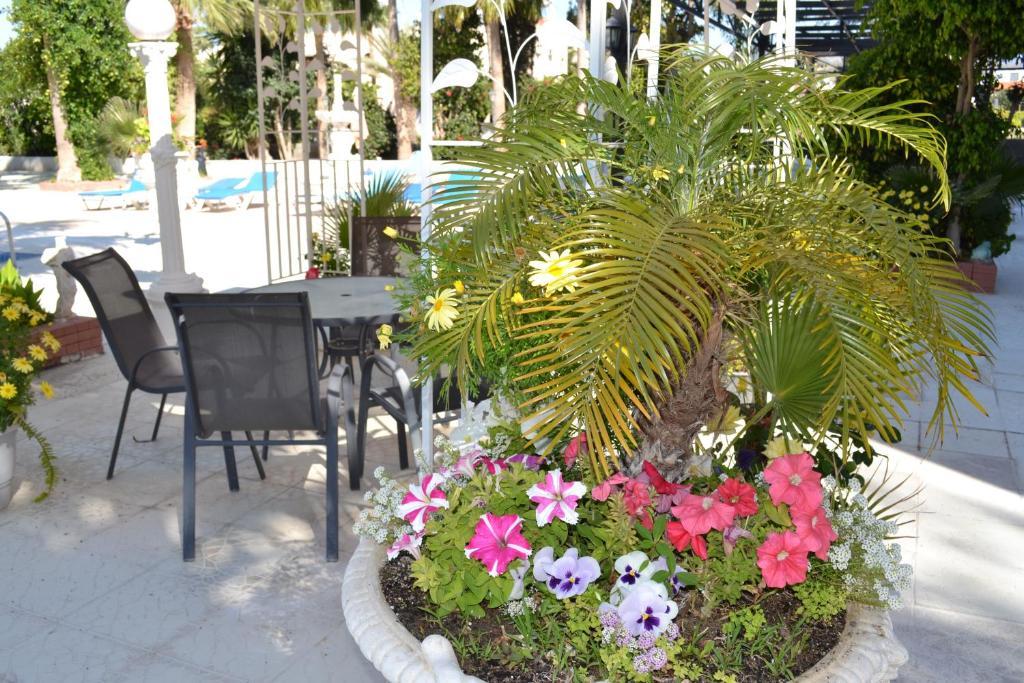 Tasiana Star Limassol Exteriör bild